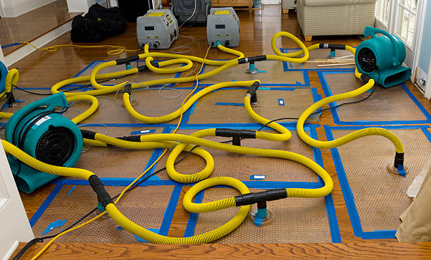 Professional Emergency Water Removal technician working in Pinconning, MI